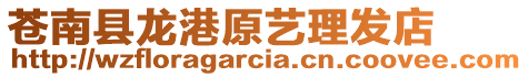 蒼南縣龍港原藝理發店