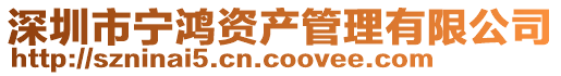 深圳市寧鴻資產管理有限公司