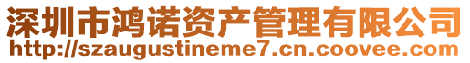 深圳市鴻諾資產(chǎn)管理有限公司