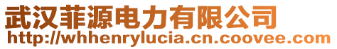武漢菲源電力有限公司