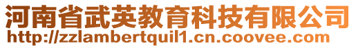 河南省武英教育科技有限公司