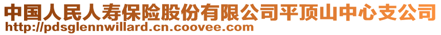 中國人民人壽保險股份有限公司平頂山中心支公司
