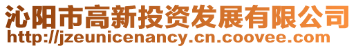 沁陽市高新投資發展有限公司