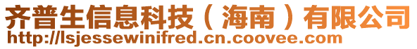 齊普生信息科技(海南)有限公司