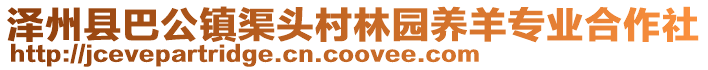 澤州縣巴公鎮(zhèn)渠頭村林園養(yǎng)羊?qū)I(yè)合作社