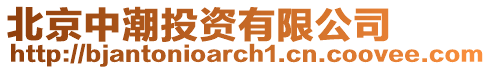 北京中潮投資有限公司