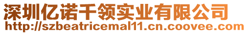 深圳億諾千領實業(yè)有限公司