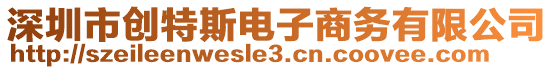 深圳市創(chuàng)特斯電子商務(wù)有限公司