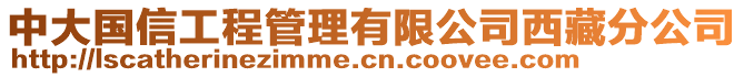 中大國信工程管理有限公司西藏分公司