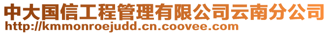 中大國信工程管理有限公司云南分公司