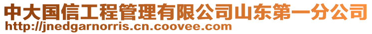 中大國(guó)信工程管理有限公司山東第一分公司