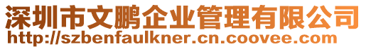 深圳市文鵬企業管理有限公司