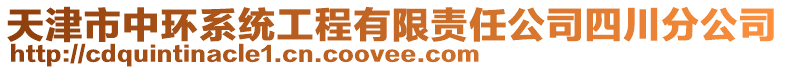天津市中環系統工程有限責任公司四川分公司