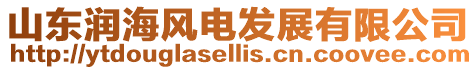 山東潤海風電發展有限公司