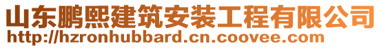 山東鵬熙建筑安裝工程有限公司