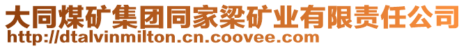 大同煤礦集團(tuán)同家梁礦業(yè)有限責(zé)任公司