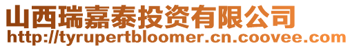 山西瑞嘉泰投資有限公司