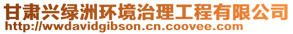 甘肅興綠洲環境治理工程有限公司