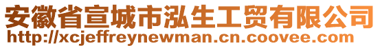 安徽省宣城市泓生工貿(mào)有限公司