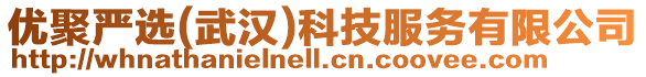 優(yōu)聚嚴選(武漢)科技服務有限公司