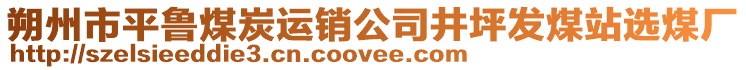 朔州市平魯煤炭運(yùn)銷公司井坪發(fā)煤站選煤廠