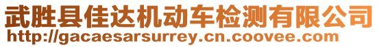 武勝縣佳達機動車檢測有限公司