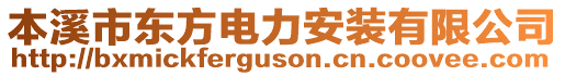 本溪市東方電力安裝有限公司