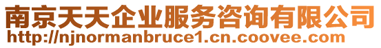 南京天天企業(yè)服務咨詢有限公司