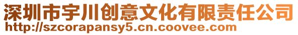 深圳市宇川創(chuàng)意文化有限責(zé)任公司