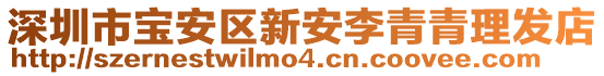 深圳市寶安區新安李青青理發店