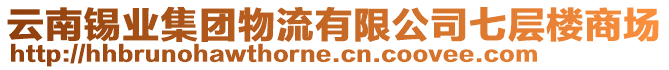 云南錫業集團物流有限公司七層樓商場