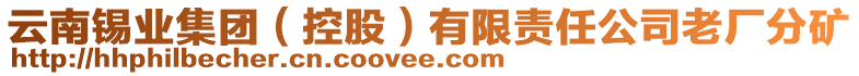 云南錫業(yè)集團(tuán)（控股）有限責(zé)任公司老廠分礦