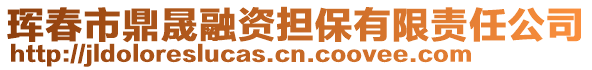 琿春市鼎晟融資擔保有限責任公司