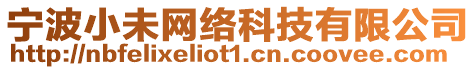 寧波小未網絡科技有限公司