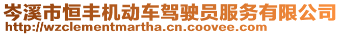 岑溪市恒豐機動車駕駛員服務有限公司