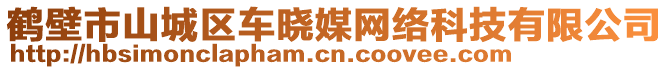 鶴壁市山城區(qū)車曉媒網(wǎng)絡(luò)科技有限公司