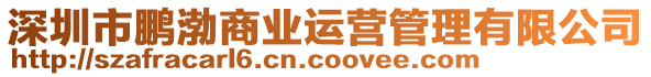 深圳市鵬渤商業運營管理有限公司