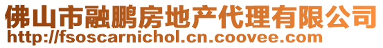 佛山市融鵬房地產(chǎn)代理有限公司