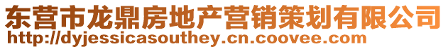 東營(yíng)市龍鼎房地產(chǎn)營(yíng)銷策劃有限公司