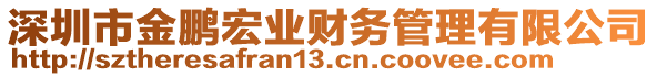 深圳市金鵬宏業(yè)財(cái)務(wù)管理有限公司