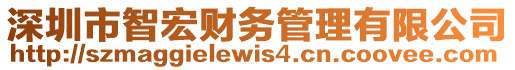 深圳市智宏財(cái)務(wù)管理有限公司