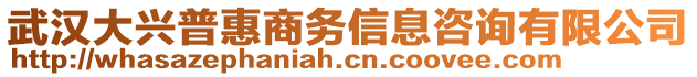 武漢大興普惠商務(wù)信息咨詢有限公司