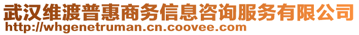 武漢維渡普惠商務(wù)信息咨詢服務(wù)有限公司