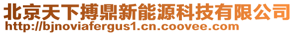 北京天下搏鼎新能源科技有限公司