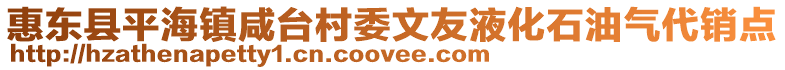 惠東縣平海鎮咸臺村委文友液化石油氣代銷點