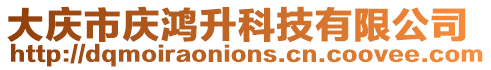 大慶市慶鴻升科技有限公司
