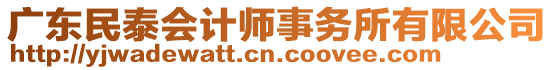 廣東民泰會計師事務所有限公司