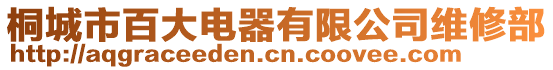 桐城市百大電器有限公司維修部