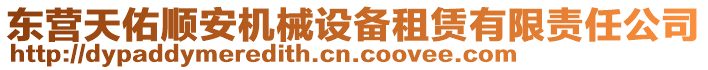 東營天佑順安機械設備租賃有限責任公司