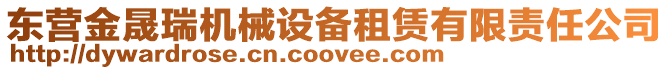 東營金晟瑞機械設(shè)備租賃有限責(zé)任公司